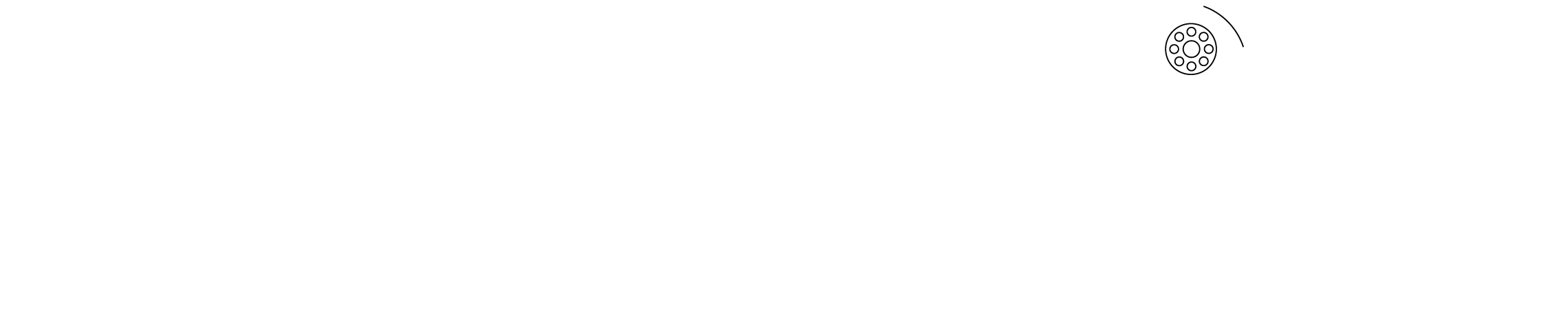 PTZVIDEO Logo blanco